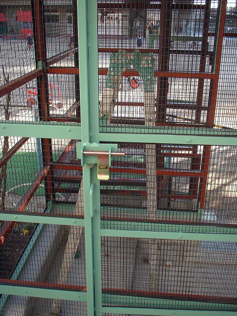 2007�N���i�ʐ^12-2